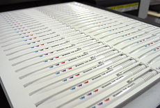 Запуск УФ-принтера Sprinter DPP A1E в типографии GLOBAL COLOR PRINT из Ташкента
